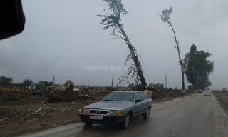 Фото — Состояние «бывшей» аллеи Раппопорта в Чолпон-Ате