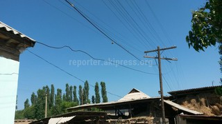 В селе Алыш в Баткене телефонные провода свисают над домами, нужно демонтировать их, - читатель (фото) В селе Алыш в Баткене телефонные провода свисают над домами, нужно демонтировать их, - читатель (фото)