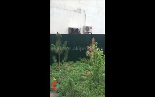 Кафе в жилмассиве Киргизия-1 мешает громкой музыкой, на просьбы сделать звук потише игнорируют, - читатель (видео)