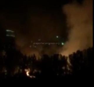 В парке Ататюрка произошел пожар <i>(видео)</i>