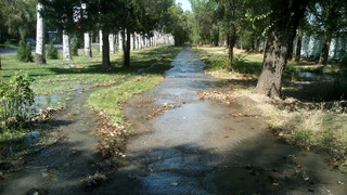 На проспекте Ч.Айтматова вода вышла из арыка и затопила тротуар <i>(фото)</i>