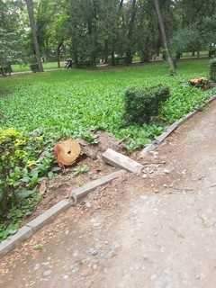 Сквер им.Тоголока Молдо в плохом состоянии, - горожанин <i>(фото)</i>