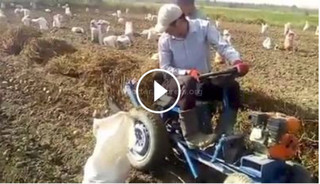 Житель села Котормо Ошской области Мухаммед собрал трактор для раскапывания картофеля (видео)