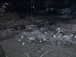 «Бишкекзеленхоз» снес два аварийных дерева на Фрунзе-Суюмбаева