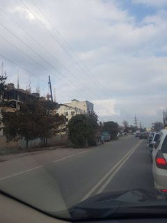 Законно ли идет вырубка деревьев на ул.Медерова? - горожанин (фото)