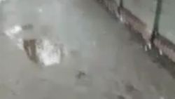 Мэрия: По вопросу укладки брусчатки на тротуаре по ул.Гоголя жителям следует обратиться в районный акимиат
