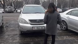 На ул.Шопокова снова припарковались на пешеходном переходе. Фото