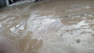 Горожанин просит провести ремонт на ул.Ростовской (фото)