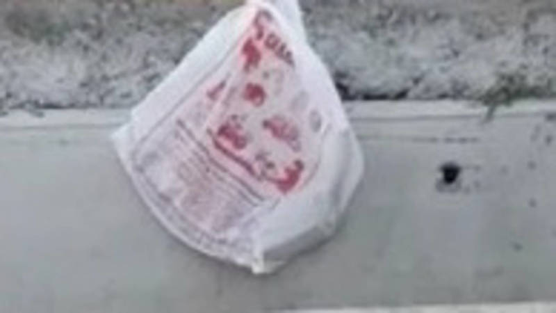 В парке «Ынтымак» горожане обнаружили змею. Видео