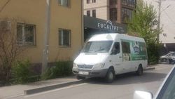 Бус «Мерседес» со штрафами в 11 тыс. сомов опять припарковался, заехав на тротуар. Фото