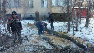 В 1 мкр в Токмоке деревья вырубили законно, - мэрия