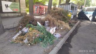 Логвиненко, 13