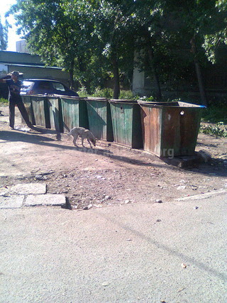 МП «Тазалык» отвечает по поводу мусора <b><i>(фото)</i></b>
