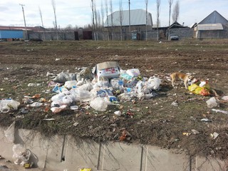 В районе 4-горбольницы не убирается мусор (фото)