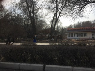 В Дубовом парке идет реконструкция существующего кафе и общественного туалета за счет пристройки и надстройки с организацией летней площадки, - БГА