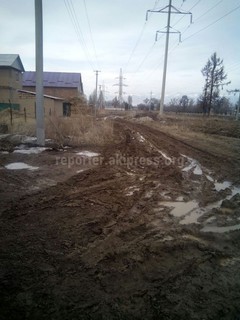 Улицы Джакыпова и Коенкозова в городе Каракол утопают в мусоре (фото)
