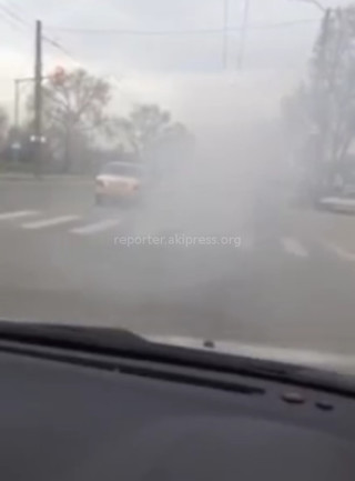 Читатель возмущен, что БПАТП выпускает на линию автобусы, загрязняющие воздух (видео)
