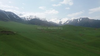 Читатель призывает добровольцев убраться в окрестностях Бишкека <i>(фото)</i>