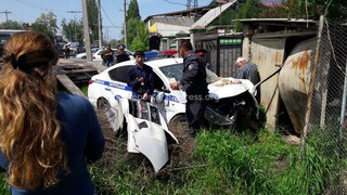 <b>ТОП-10</b> сообщений за апрель: ДТП со смертельным исходом в Кок-Жаре, собака тащила за ногу 7-летнего мальчика, вооруженное нападение в центре Бишкека и кража тюльпанов