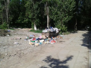 Читатель жалуется, что в мкр Аламедин-1 мусор простаивает, - читатель (фото)