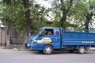 Водитель щелкал семечки и бросал шелуху на проезжую часть (фото)