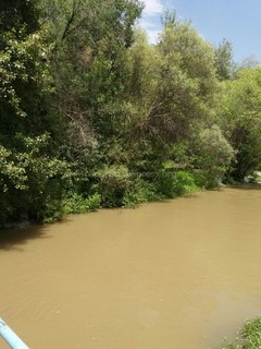 В городе Талас затопило зону отдыха в районе спецбольницы (фото)