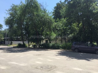 На перекрестке Раззакова-Линейная в зеленой зоне стоит павильон <i>(фото)</i>