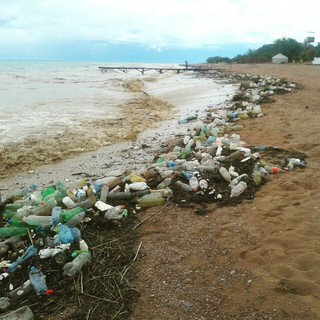 Южный берег Иссык-Куля переполнен пластиковыми бутылками <i>(фото)</i>