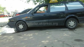 Водитель «Моби Такси» щелкал семечки и бросал шелуху на землю, - читатель (фото)