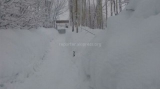 Жекендидеги калың карды күрөгөнгө мүмкүн болбой калды, - окурман <i>(фото)</i>