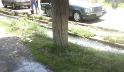 Мыть машины и ковры в городских водоемах и арычных сетях запрещено, - мэрия Оша