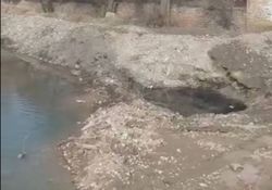 На проспекте Жибек-Жолу в реке Ала-Арча мазут, данный вопрос в компетенции Госэкотехинспекци, - мэрия