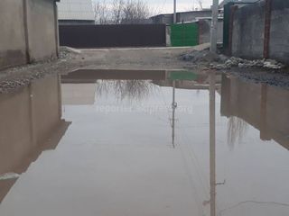 Улица Шералиева в Арча-Бешике вся в воде, - житель (фото)