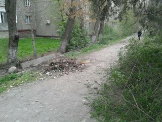 В мкр Восток-5 мусор собрали в кучу и оставили на тротуаре (фото)