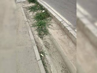 Работы по обустройству тротуара на ул.Ахунбаева начнутся в течение месяца, - мэрия Бишкека