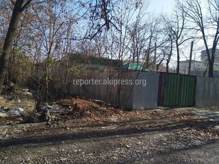 Замусоренная территория на Жибек Жолу не относится к кафе, - мэрия