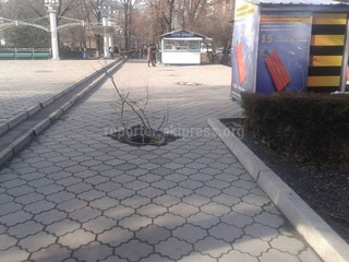 Горожанин вновь просит закрыть люк, находящийся у входа в здание КНУ им.Ж.Баласагына (фото)