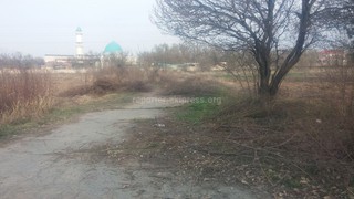 Даже после субботника Ботанический сад выглядит не очень убранным, - читатель <i>(фото)</i>