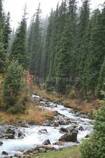 Фотодосье городов и красивых мест Кыргызстана. Ущелье Шамшы