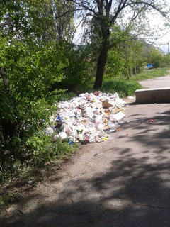 На юго-восточной стороне парка Ататюрк организована свалка (фото)