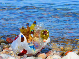 Фото — Мусор на южном берегу Иссык-Куля в селе Тон