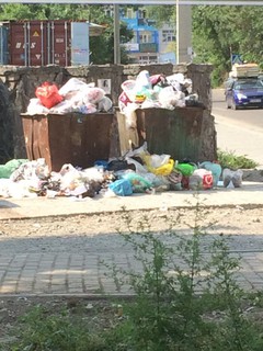 В 10 мкр не вывозят мусор (фото)