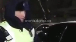 Женщина кричала из машины. ГУОБДД рассказало подробности остановки «Мерседеса» инспектором