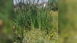 На улице Абдырахманова в жилмассиве Арча-Бешик устранили утечку питьевой воды