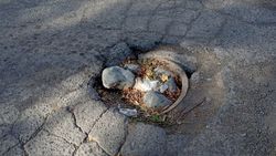 В селе Сокулук на улице Мичурина возле дома №5 закрыли люк камнями (фото)