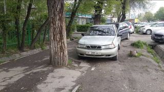 Парковка на тротуаре и газоне