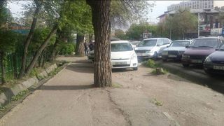 Парковка на газоне