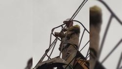 На проспекте Айтматова убрали полено с электропровода. Фото