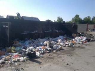 Читатель жалуется, что в микрорайоне Достук редко вывозится мусор <b>(фото)</b>