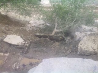 Читатель просит власти оказать помощь в восстановлении внутрихозяйственного канала в селе Кара-Жыгач Кадамжайского района <b>(фото)</b>
